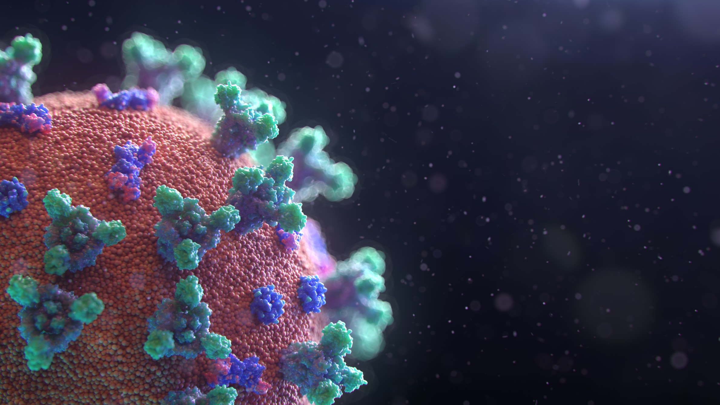 New image of corona virus Photo by Fusion Medical Animation on Unsplash